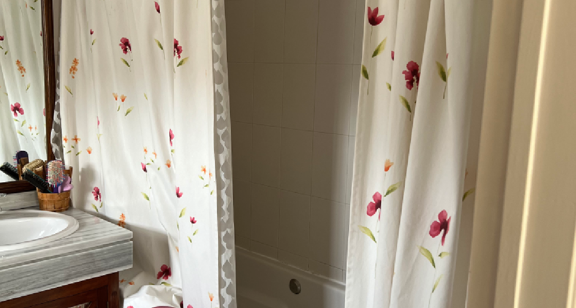 baño antes (2)