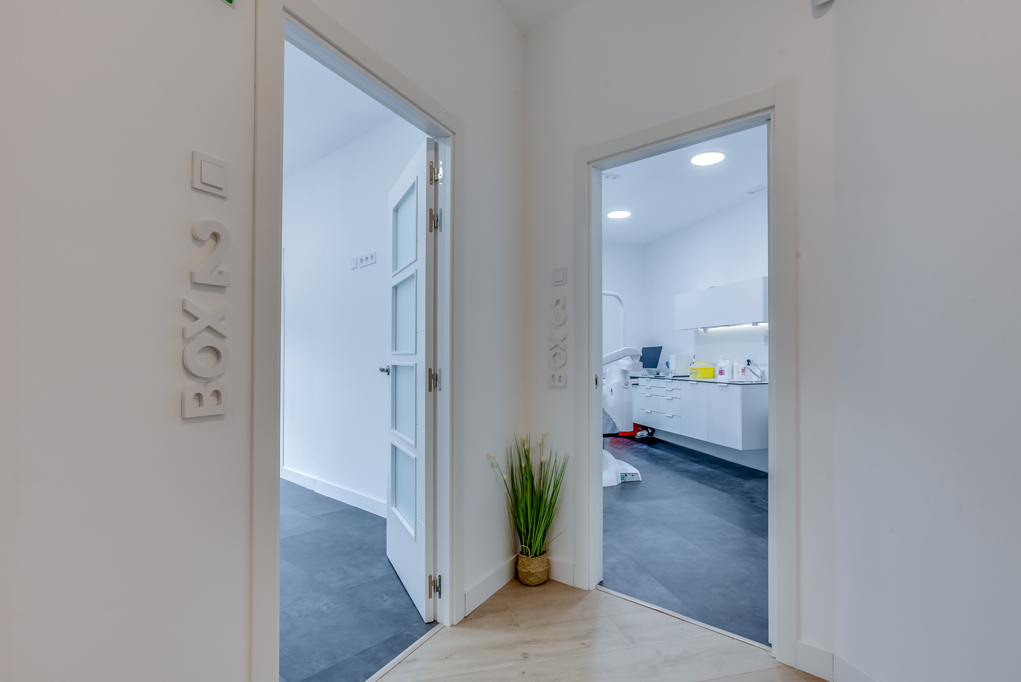 UP Estudio Dental 036